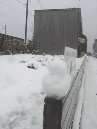 20080203雪のジオジオ