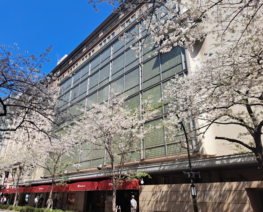 ブログ用高島屋桜