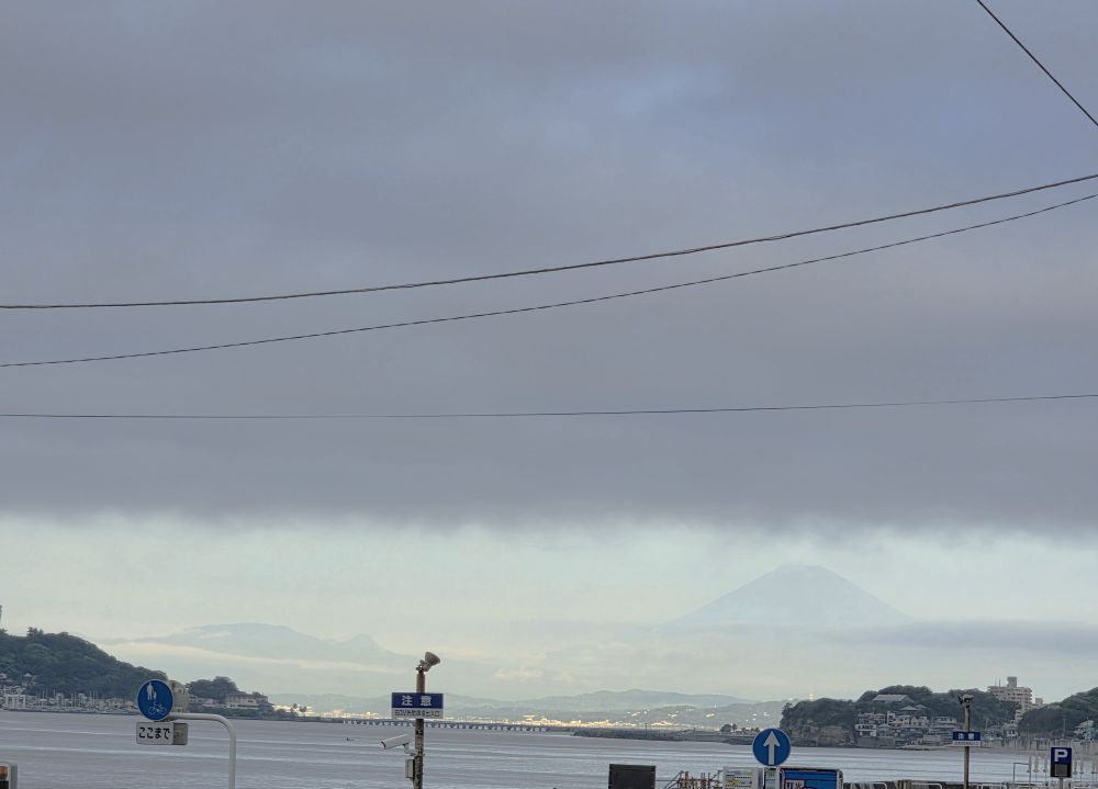fuji tori小